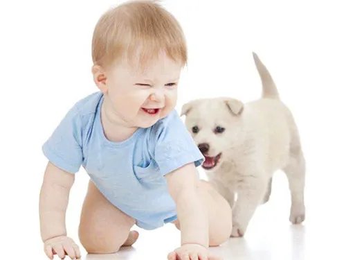 3岁的孩子怎么教育 3岁宝宝早教方法