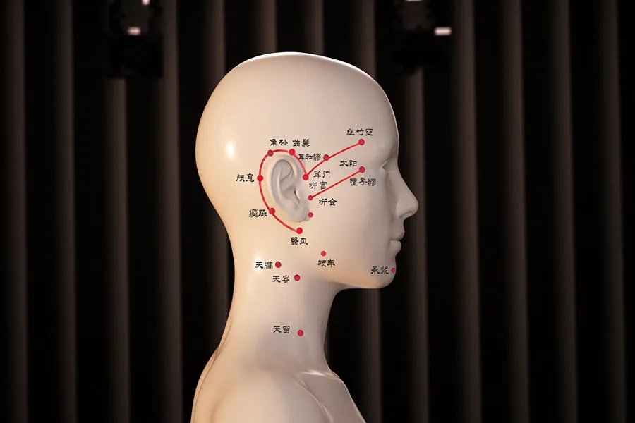 耳朵后面的经络图