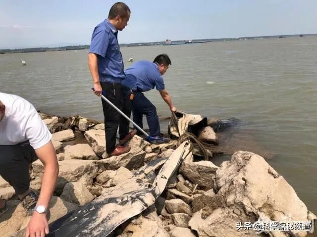 前几天出现的“三峡水怪”是什么，会是未知的生物吗？