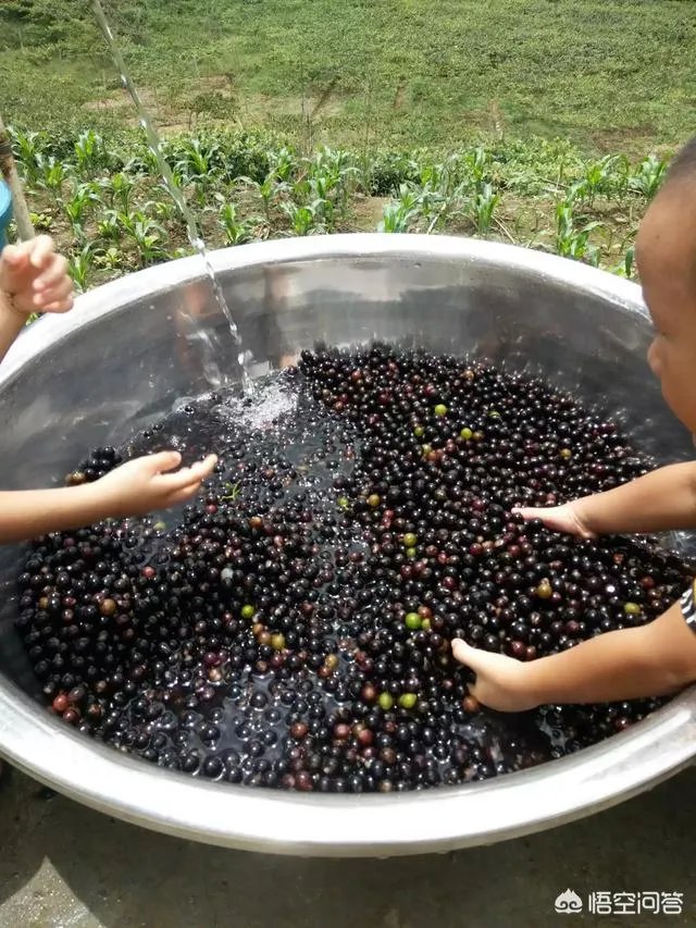 如何打造生态休闲农业园项目?