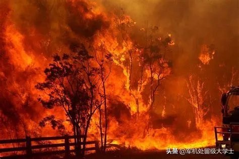 澳大利亚为啥火灾?