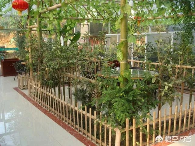 如何打造生态休闲农业园项目?