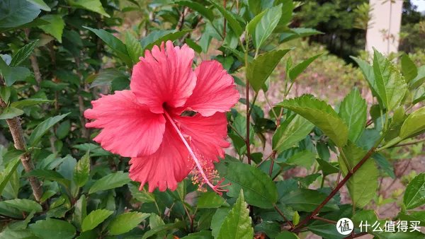 离完美只差一步:MI 小米 红米Note5 智能手机 体验评测(含高通骁龙636性能测试)