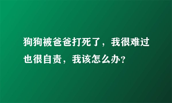 狗狗被爸爸打死了，我很难过也很自责，我该怎么办？