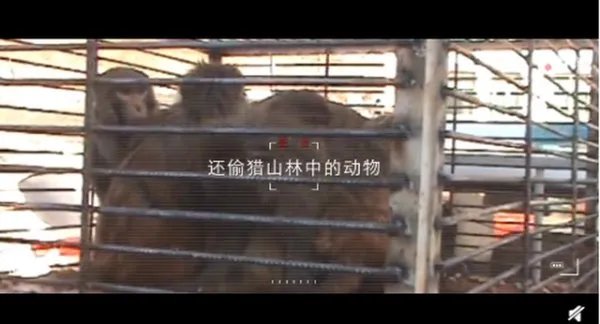 丁真和检察官拍了支公益宣传片,这支宣传片体现了哪些内容?