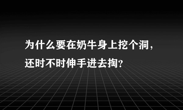 为什么要在奶牛身上挖个洞，还时不时伸手进去掏？