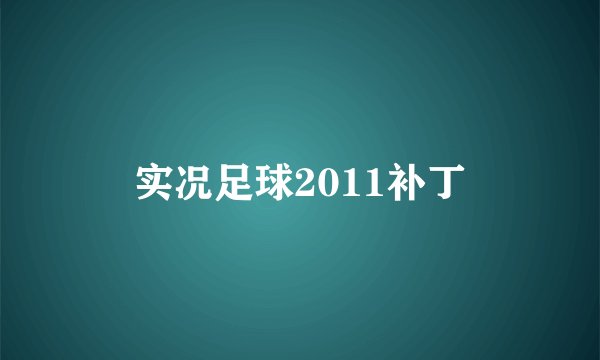 实况足球2011补丁