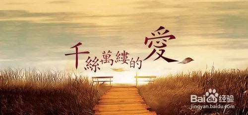 什么叫爱情（1）