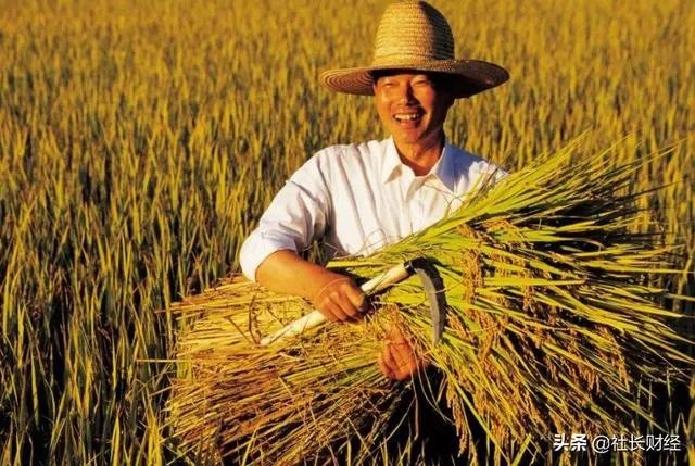 农民的理财有什么办法?