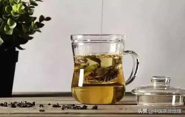 茶杯分类？