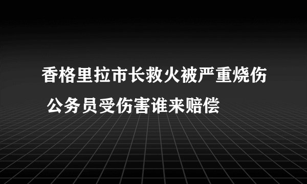 香格里拉市长救火被严重烧伤 公务员受伤害谁来赔偿