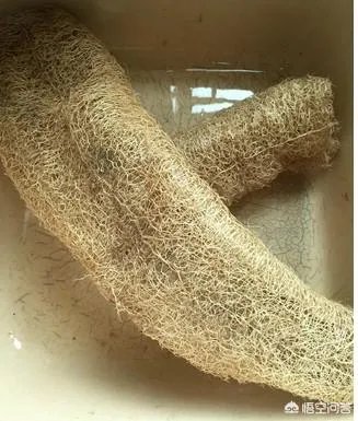 你们用过什么不为人知但是非常实用有趣的小东西?