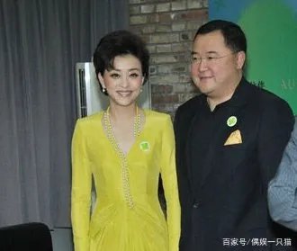 杨澜的老公是谁