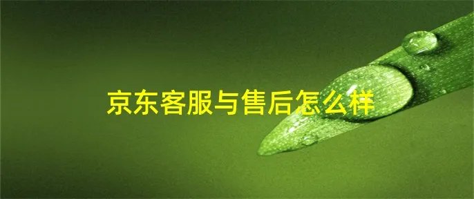京东客服与售后怎么样