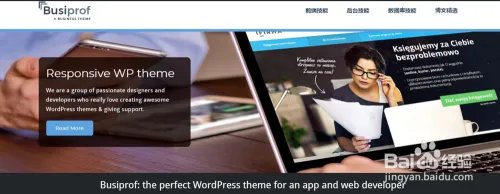 wordpress主题之Busiprof主题