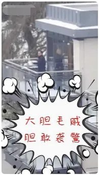 警察去抓贼怎么和贼打起了雪仗?