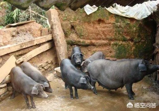 你认为中央电视台的《致富经》能让人致富吗？