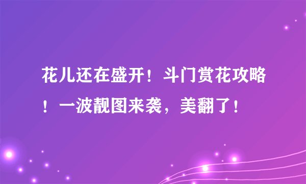 花儿还在盛开！斗门赏花攻略！一波靓图来袭，美翻了！