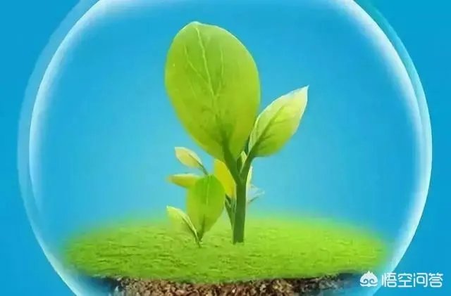 您是怎样喜欢上广场舞的，有没有一次偶然的原因呢？