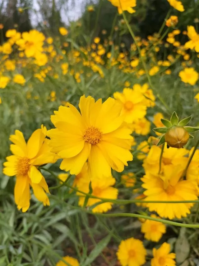 若无相欠，怎会遇见。你们相信，今生遇到的人是你该遇到的吗？