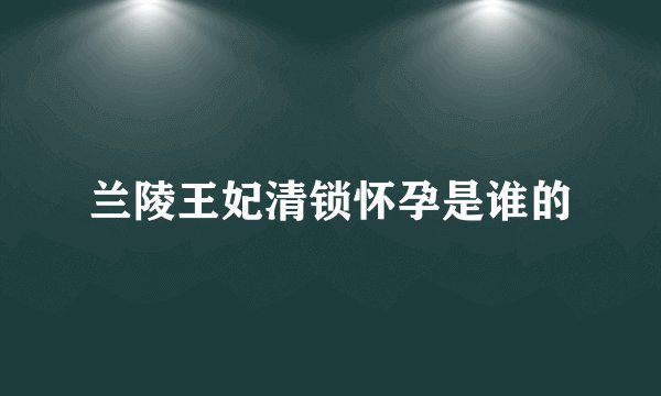 兰陵王妃清锁怀孕是谁的