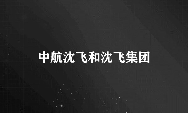 中航沈飞和沈飞集团