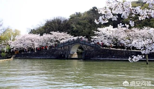 无锡、苏州两地的方言区别很大，但无锡的《太湖美》和《无锡景》用苏州话唱，为什么？