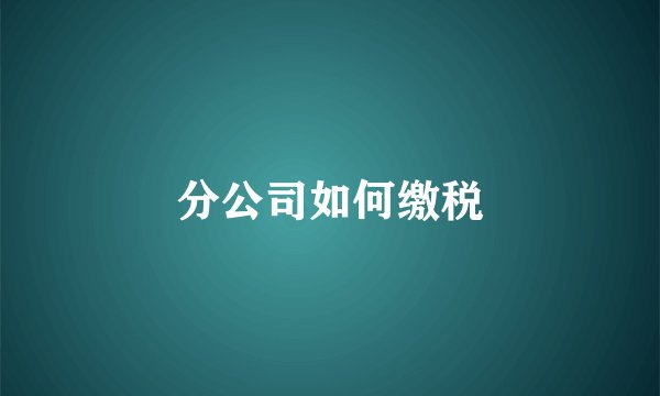 分公司如何缴税