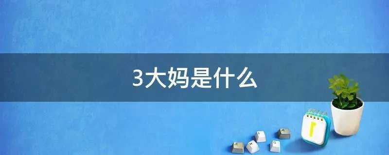 3大妈是什么