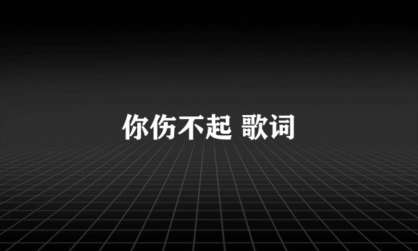 你伤不起 歌词