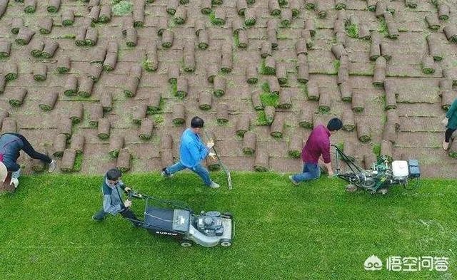 你认为中央电视台的《致富经》能让人致富吗？