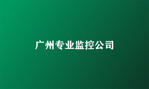 广州专业监控公司