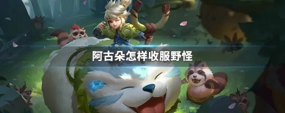 阿古朵怎样收服野怪