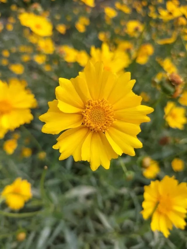 若无相欠，怎会遇见。你们相信，今生遇到的人是你该遇到的吗？