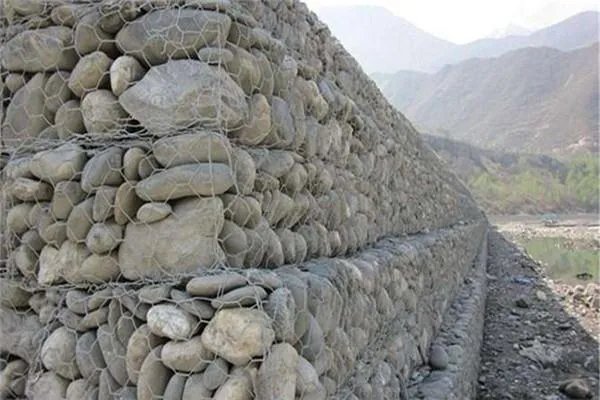 1938年，青海发现数百个石蝶，究竟怎么回事?