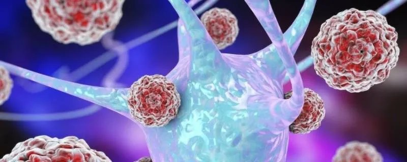 传播的毒株主要是