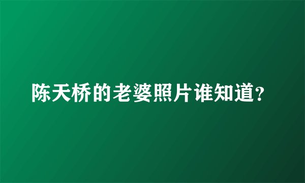 陈天桥的老婆照片谁知道？