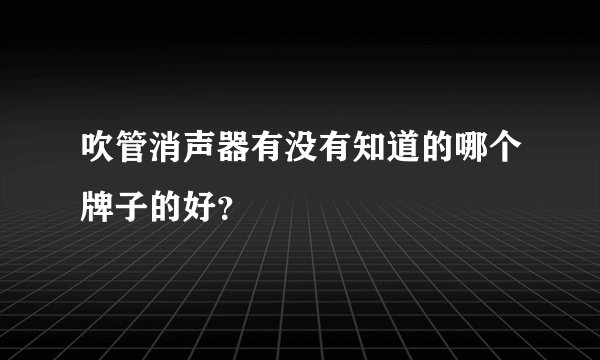吹管消声器有没有知道的哪个牌子的好？