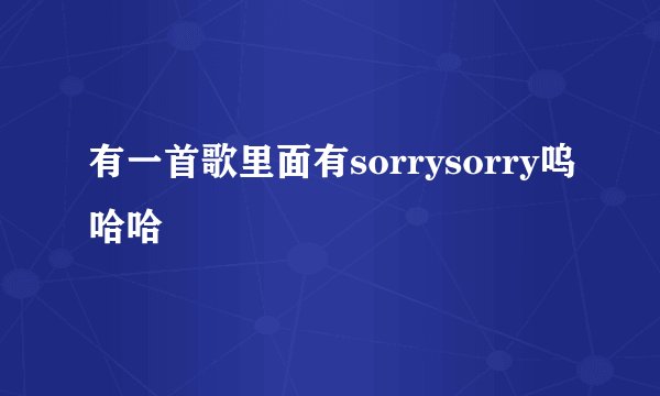 有一首歌里面有sorrysorry呜哈哈