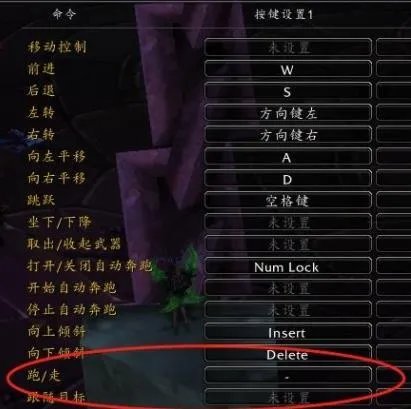 《魔兽世界》黑暗神殿dh员工通道