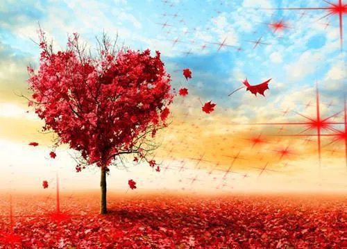 何所冬暖何所夏凉番外怀孕 席郗辰简安桀番外怀孕篇