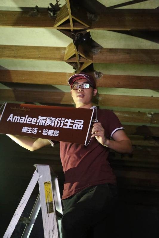 为什么卖马来西亚燕窝的人，都说印尼燕窝不好，看真相