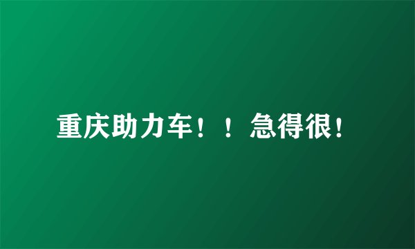 重庆助力车！！急得很！