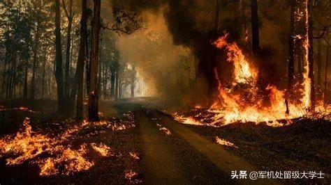 澳大利亚为啥火灾？