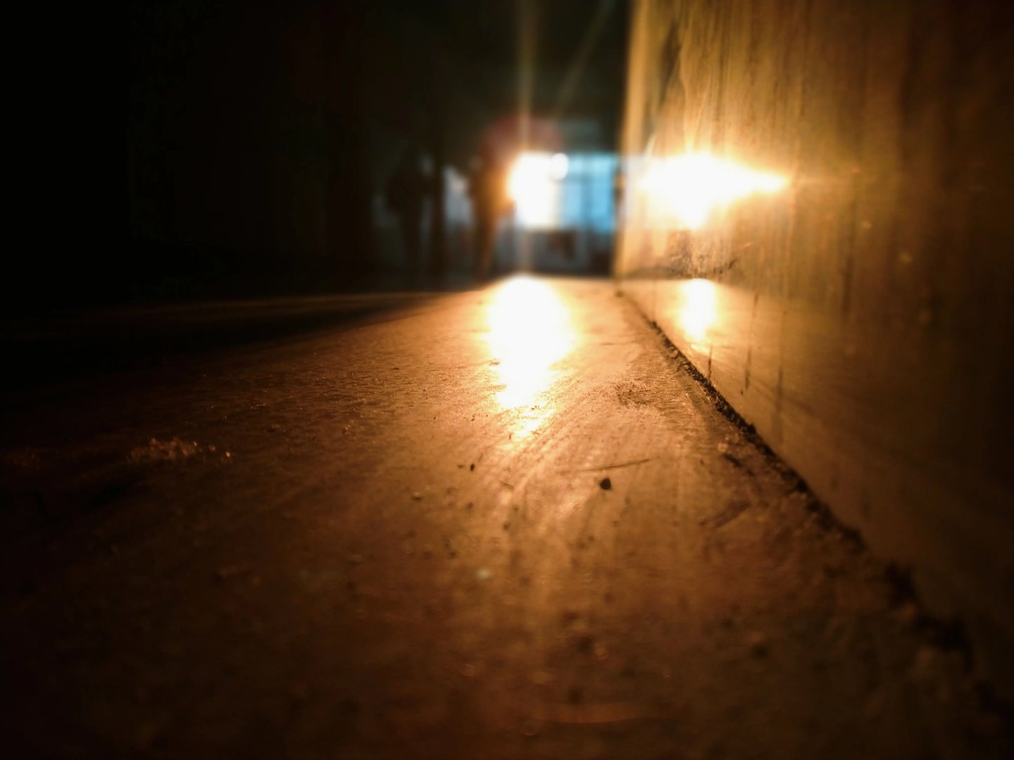 风与尘      致我生命中的每一个过客