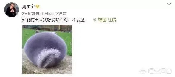 韩国夺冠而中国银牌被裁判取消,周洋称不知道中国队哪里犯规了,你是怎么看的?