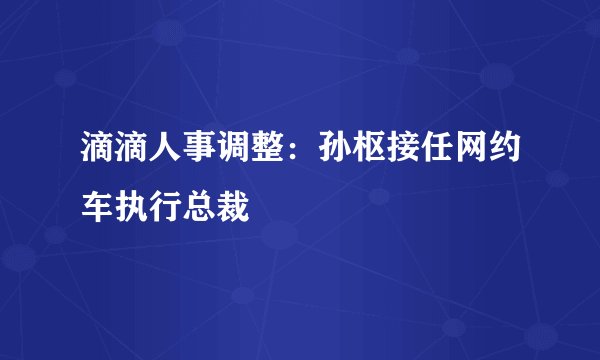 滴滴人事调整：孙枢接任网约车执行总裁