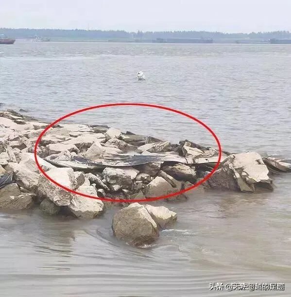 前几天出现的“三峡水怪”是什么，会是未知的生物吗？