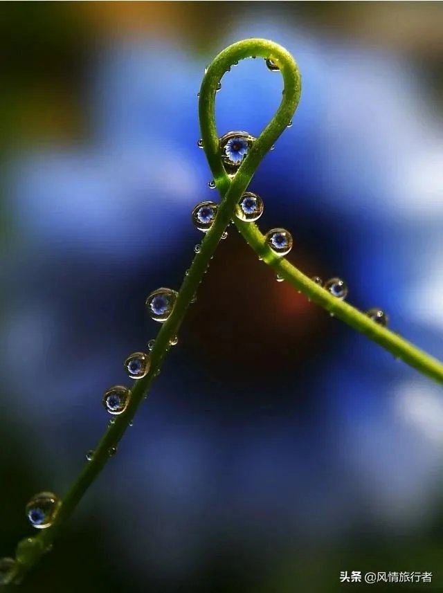 光学防抖和五轴防抖哪个好？