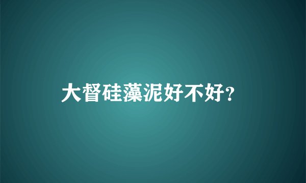 大督硅藻泥好不好？